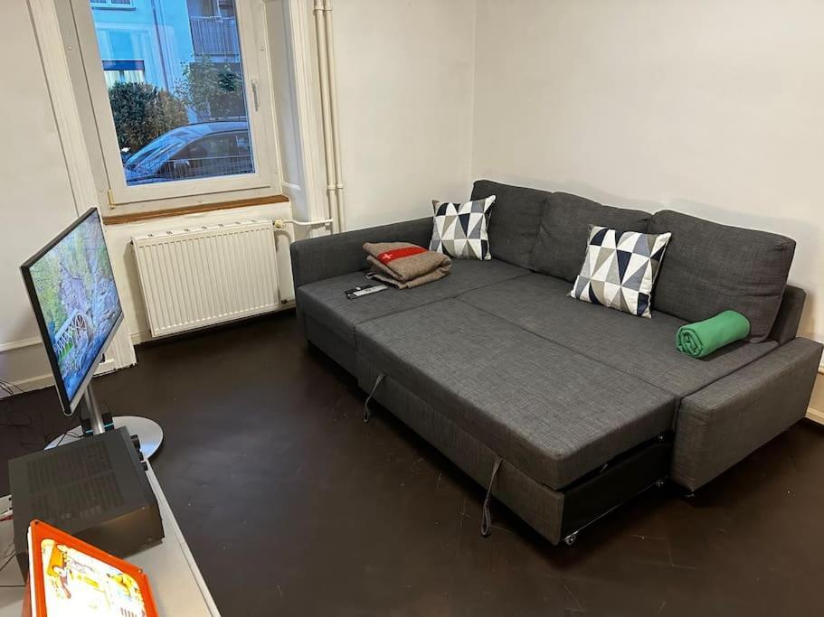 Stylisch In Sankt Johann Nahe Novartis Campus Appartement Bazel